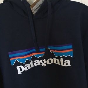 Patagonia hooded sweatshirt
